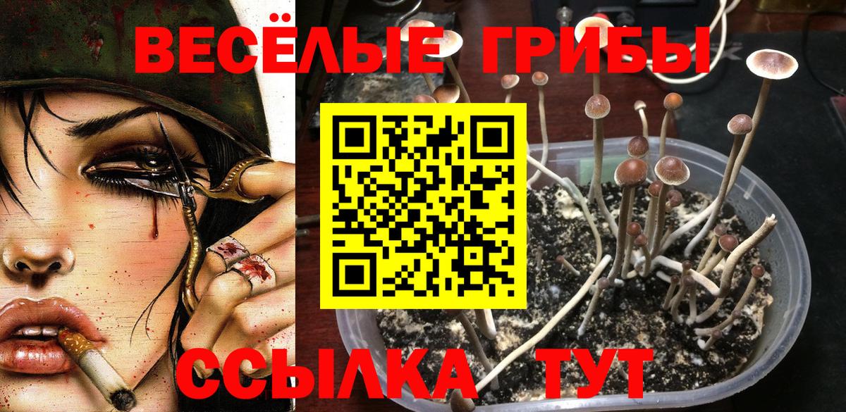 Галлюциногенные грибы ЛСД  Вход с VPN  Псилоцибиновые грибы MAGIC MUSHROOMS  где можно купить наркотик  Лысьва 