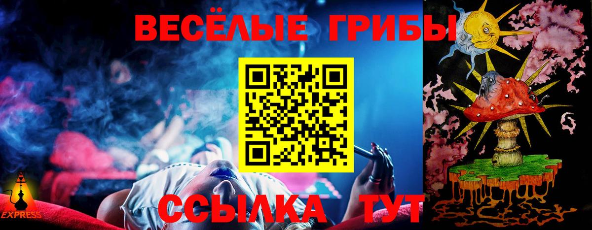 Псилоцибиновые грибы Psilocybe Лысьва
